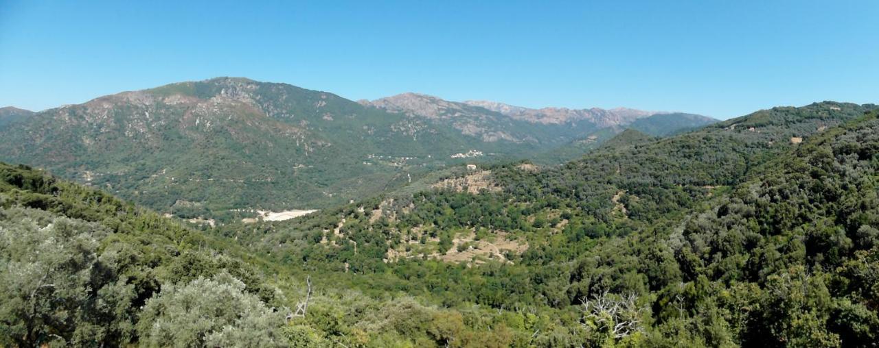 شقة Casa Nepita Sur Vue Grandiose Santa-Lucia-di-Tallano المظهر الخارجي الصورة